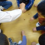 DSC07964_ks