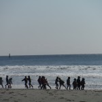 DSCF8008