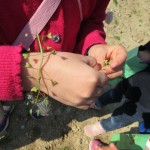 IMG_0084