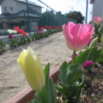 IMG_0405