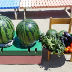 DSCN0082