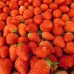 DSCN0473_ks