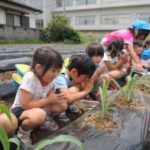 èæ¤ãï¼