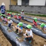 ã¤ãããï¼