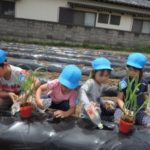 èæ¤ã