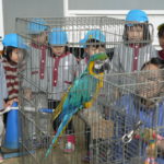 オウム