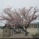 IMG_0173_ks