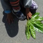 DSCF1217_ks