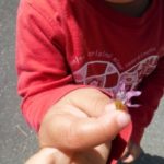 DSCF1218_ks