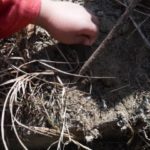 DSCF1219_ks