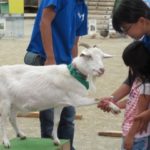 IMG_0001_ks