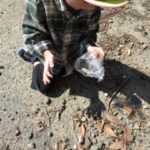 IMG_0004_ks