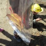 IMG_0006_ks