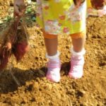 IMG_0053_ks