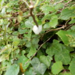 DSCN0173