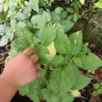 CIMG0361