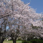 DSCF2042