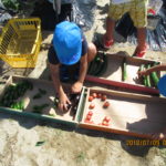 IMG_0095