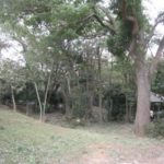 縮小３