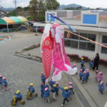 koinobori 002
