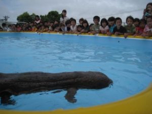 IMG_1363_ks IMG_1363_ks