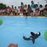 IMG_1379_ks