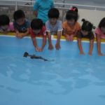 IMG_1393_ks IMG_1393_ks