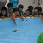 IMG_1412_ks IMG_1412_ks