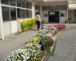 IMG_0154[1]_ks