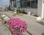 IMG_0155[1]_ks