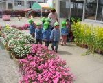 IMG_0162[1]_ks