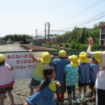 IMG_0181 IMG_0181