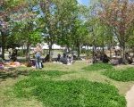IMG_0282[1]_ks