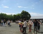 IMG_0244[1]_ks