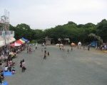 IMG_0264[1]_ks