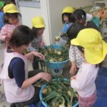 黄組 野菜の下ごしらえ 005_ks