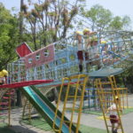 花祭り、杉 007