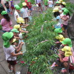 老津神社笹飾り 001