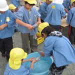 保育士運動会 053