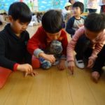 DSC02510_ks