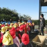 IMG_0184_ks