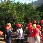 IMG_0186_ks