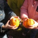 IMG_0187_ks