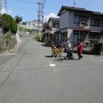 ã²ãã