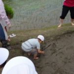 h27,田植え 002_ks