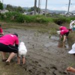 h27,田植え 003_ks