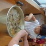 DSC07053_ks