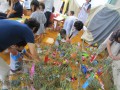 IMG_2083_ks