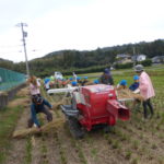 P1010541