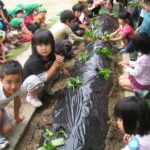 苗植え・つる挿し・歯磨き 016